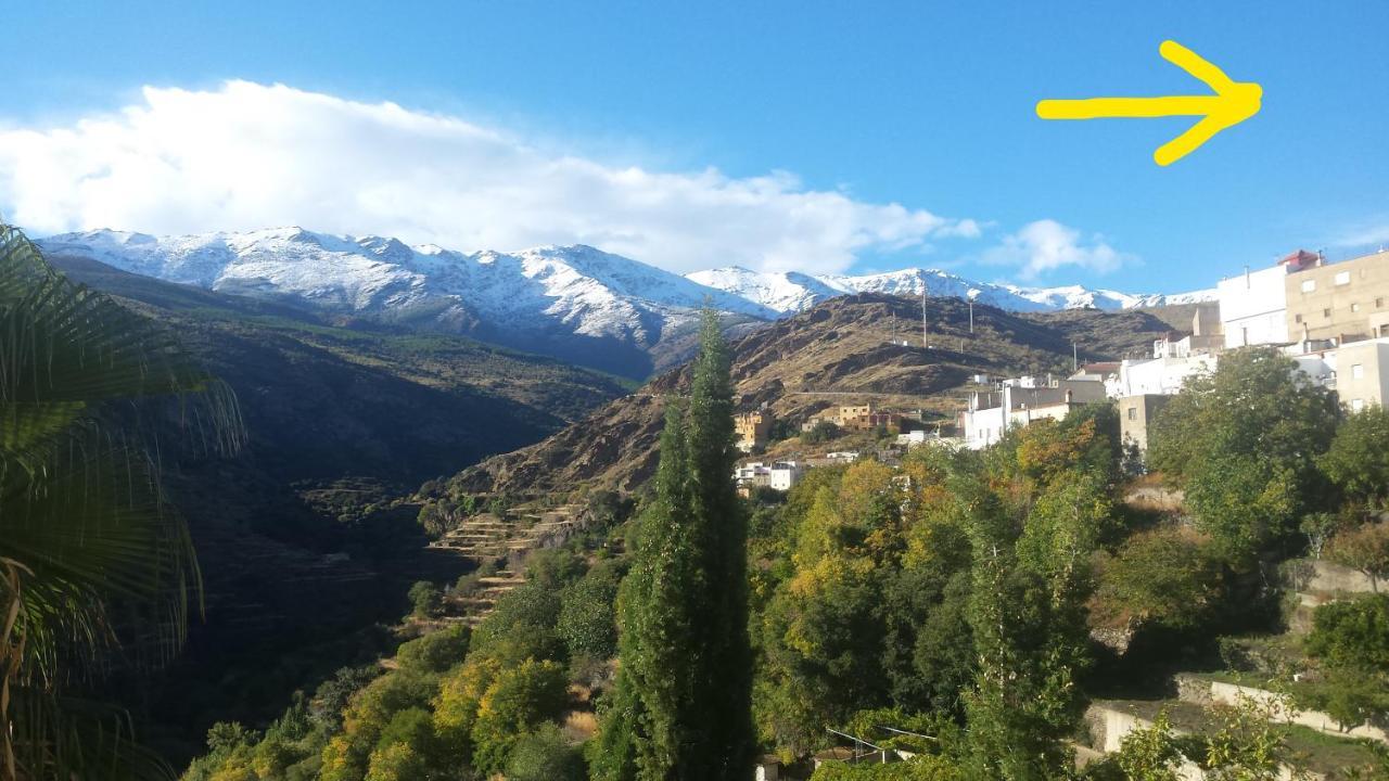 La Flecha Hostel Абрусена Экстерьер фото